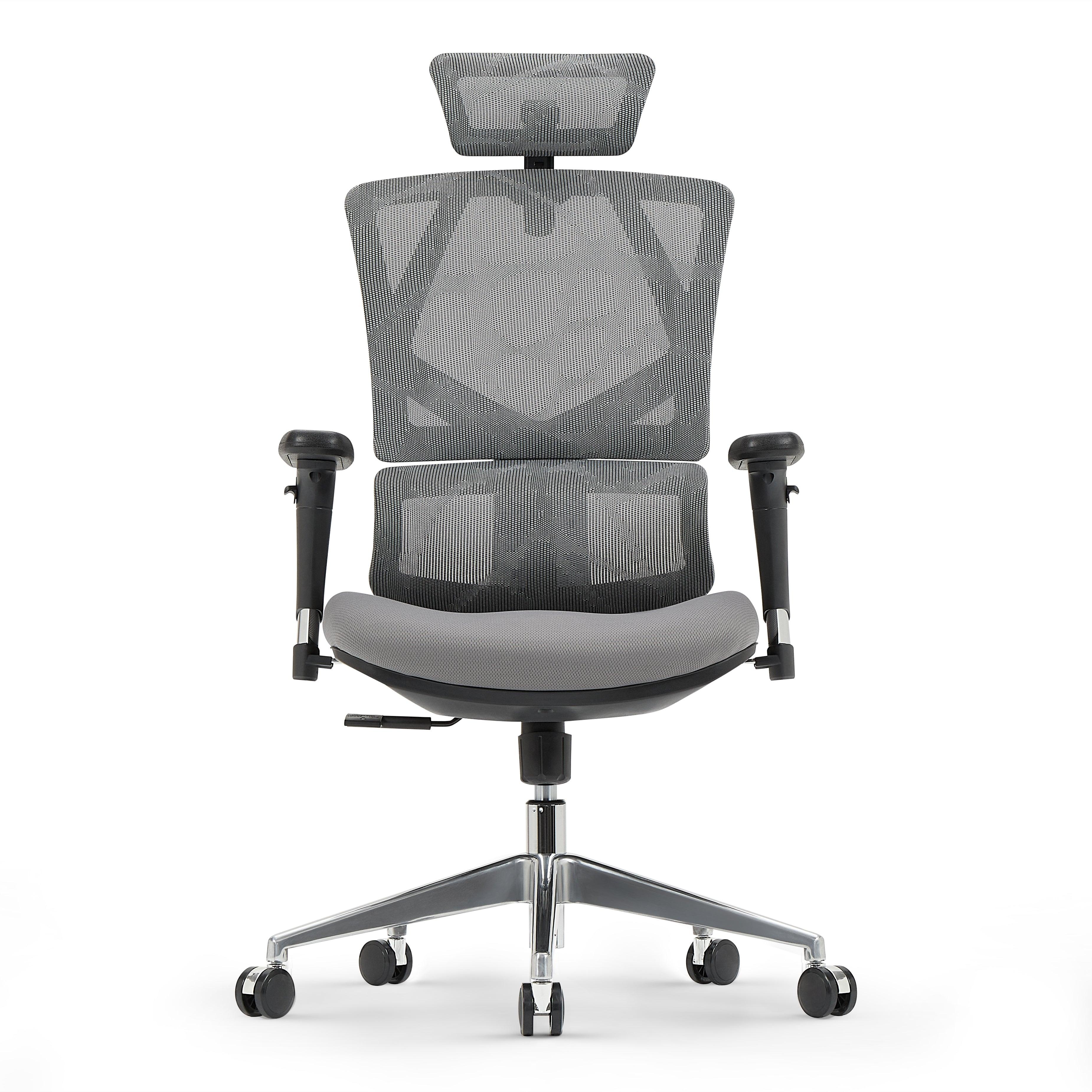 Sihoo M90D Ergonomic Chair with Adaptive Lumbar Support