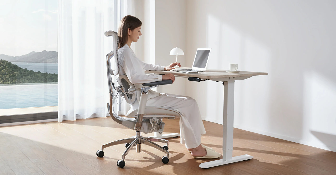 D03 Electric Height Adjustable Standing Desk