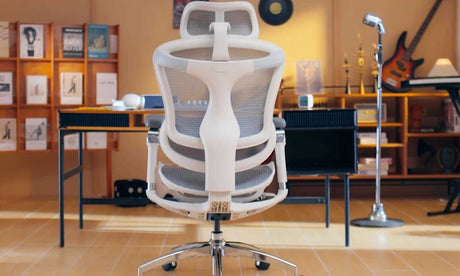 Get Ready for Black Friday: Why the Sihoo Doro C300 is a Must-Have for Home Offices