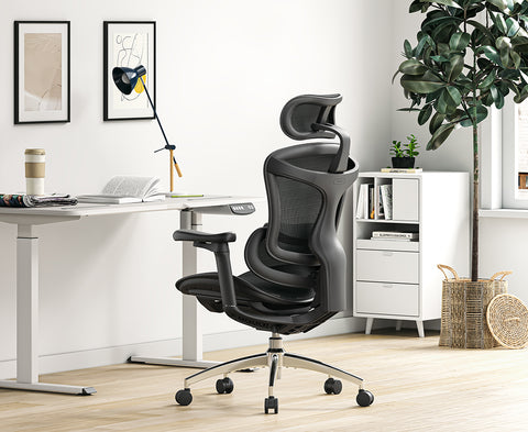 SiHoo C300 Human Body Office Chair