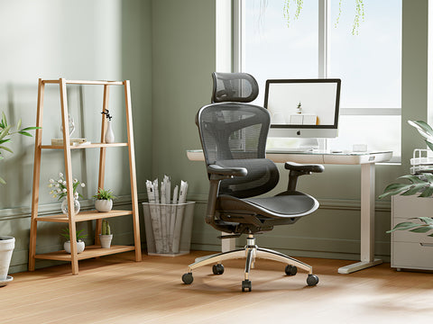 Sihoo C300 Ergonomic Office Chair