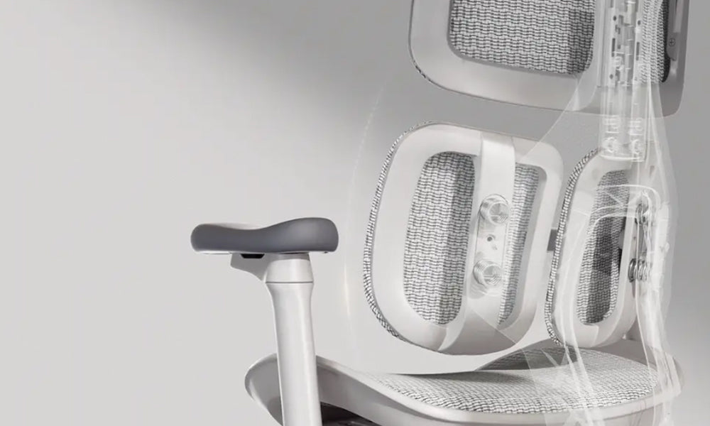 5 Exercises You Can Do While Sitting in an Ergonomic Office Chair