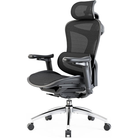 Sihoo Doro C300 Ergonomic Chair
