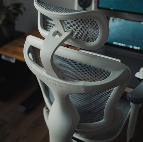 Sihoo Doro C300 Dynamic Lumbar Support