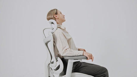 Sihoo Doro C300 Ergonomic Chairs: Are They Worth the Money?