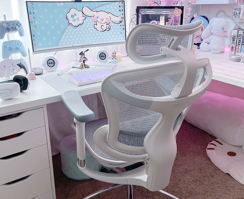 The Sihoo Doro C300 - A Closer Look