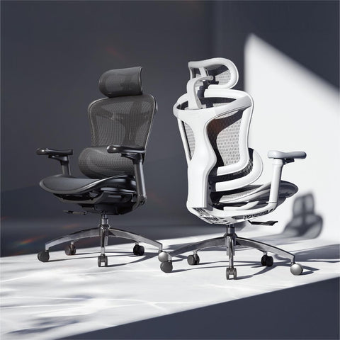 Sihoo Doro C300 ergonomic office chair