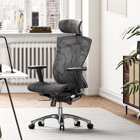 Sihoo Ergonomic Office Chair